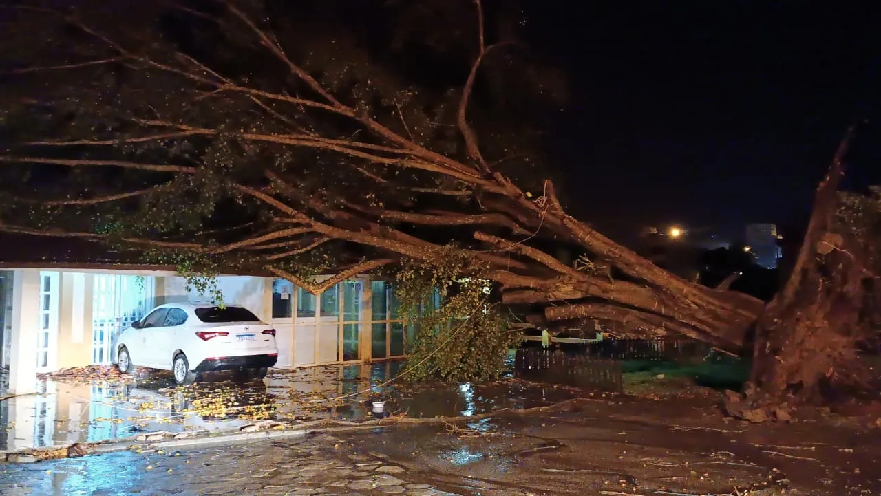 Forte tempestade causa estrago em Nova Venécia