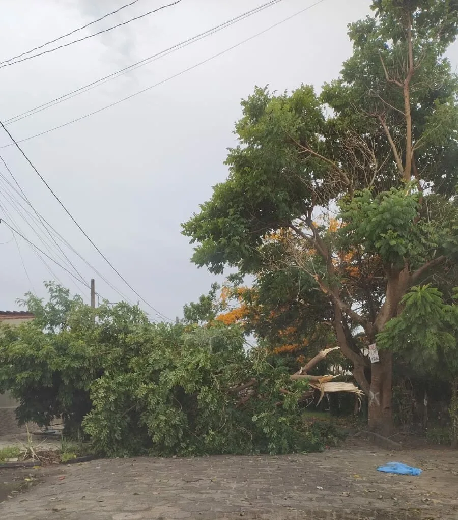 Inmet renova alerta de chuva de até 100mm e ventos de 100km/h no ES