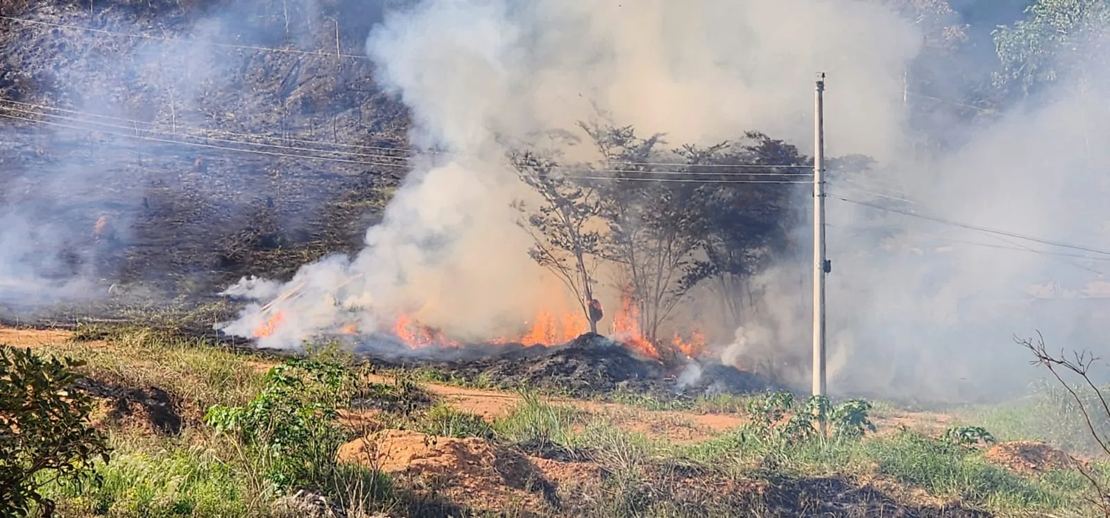 Incêndio atinge cerca de 50 mil metros de vegetação no bairro Irmãos Fernandes, em Barra de São Francisco
