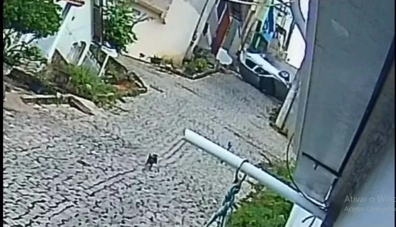 Vídeo: carro capota e carona sai do veículo ainda em movimento na Vila Landinha, em Barra de São Francisco