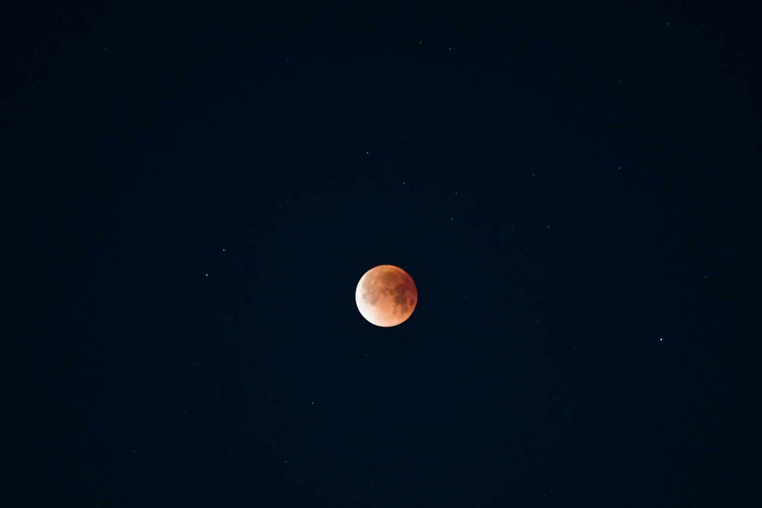 Ano Novo Lunar: Uma Celebração Repleta de Tradição e Significado