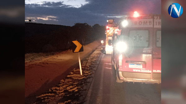 Menina sobrevivente de tragédia com abelhas em Montanha recebe alta médica
