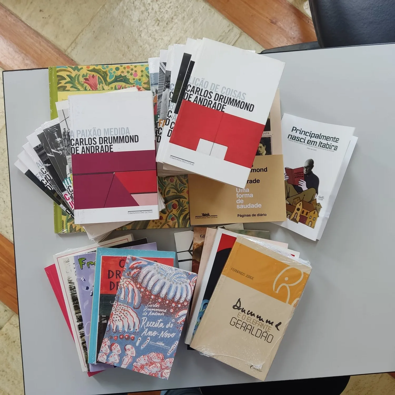 Biblioteca de Barra de São Francisco recebe 40 exemplares de Carlos Drummond de Andrade