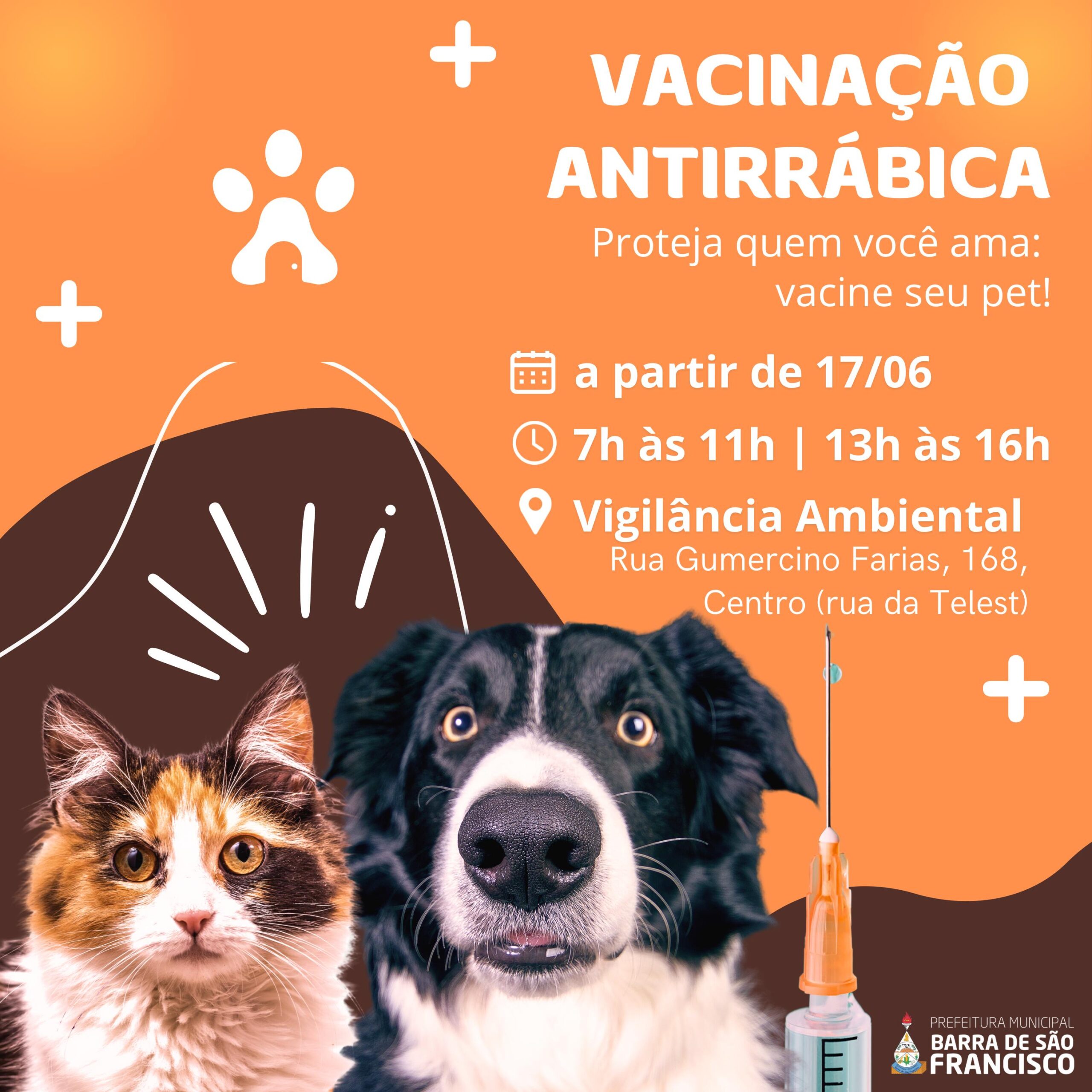 Campanha de vacinação antirrábica começa nesta segunda-feira (17) em Barra de São Francisco