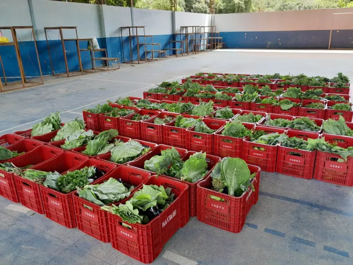 Prefeitura de Barra de São Francisco realiza entrega de 150 cestas verdes a instituições e famílias cadastradas na Assistência Social