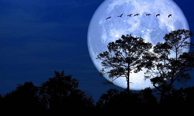 Super Lua Azul: fenômeno acontece nesta segunda-feira (19) e pode ser visto no ES; saiba o melhor local