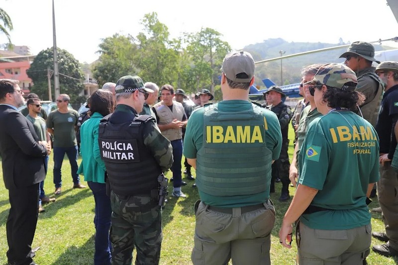 Mata Atlântica em Pé: operação mira crimes contra o meio ambiente no Espírito Santo