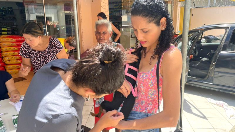 Barra de São Francisco realiza Dia D de vacinação antirrábica e antivirose pelo Programa PET Vida