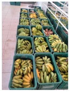 Reunião de abertura do Programa de Aquisição de Alimentos (PAA) 2025 em Barra de São Francisco/ES.