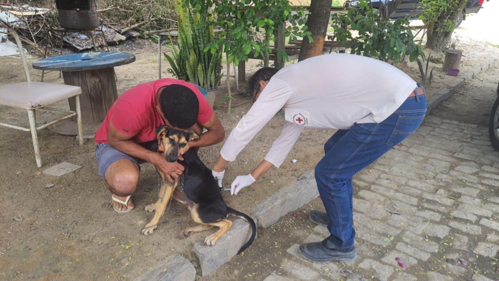 Prefeitura de Barra de São Francisco vacina quase 3 mil animais na zona rural contra a raiva